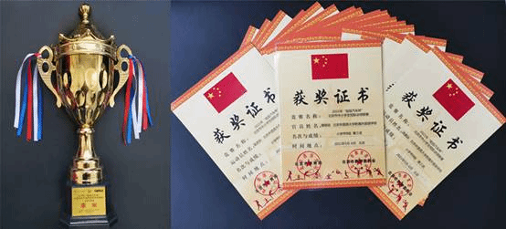 2021年“极狐汽车杯”北京市中小学生校际冰球联赛甲B组第三名